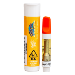 JUNGLE BOYS FLORIDA SUNRISE